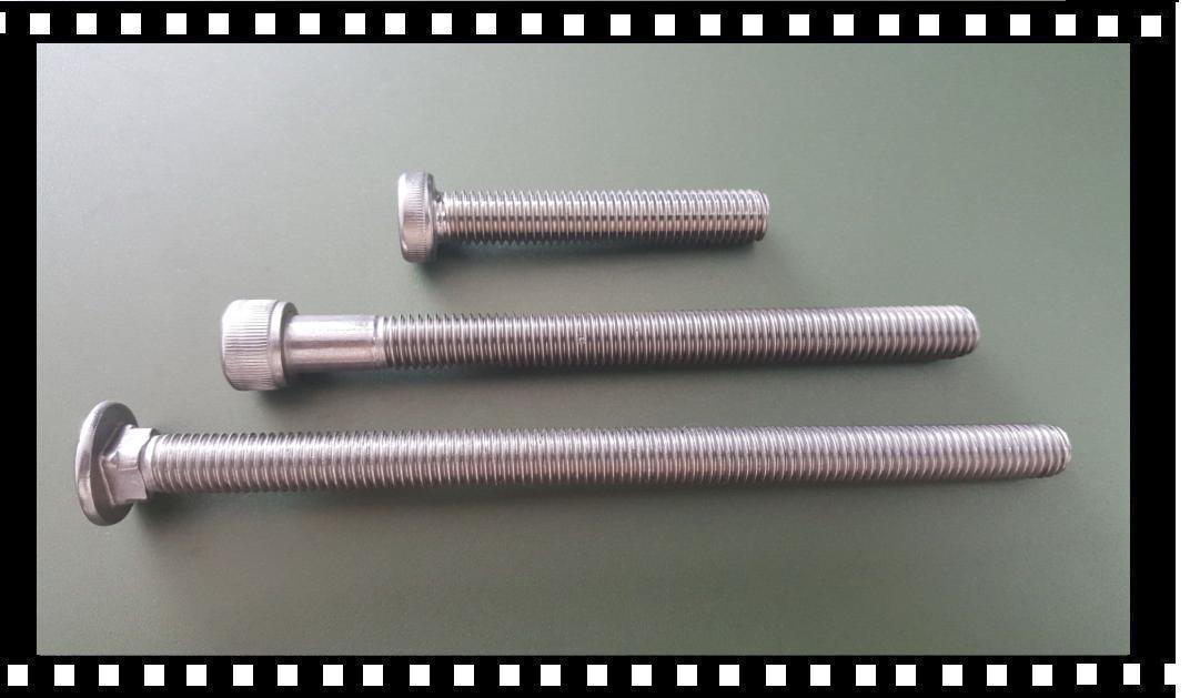 长尺寸螺栓螺钉   Long Size bolts